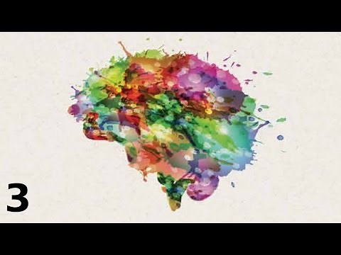 Core Systems (How Emotions are Made)