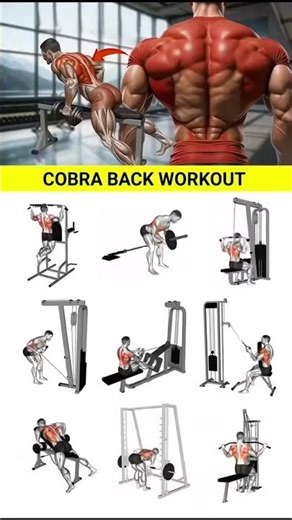 I Tried The Most Insane Back Workout Routine