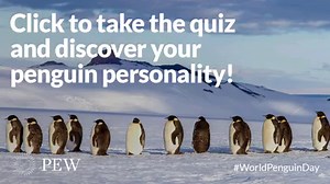Quiz: Are you short and squat or fierce and feisty? Find your penguin personality this World Penguin Day: https://pew.org/2oXWf1K | Pew Europe | Facebook
