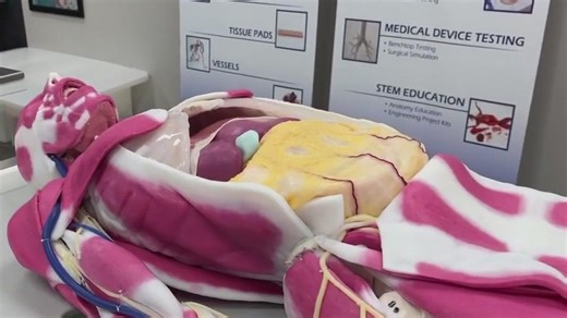 Company creates synthetic dummy to change cadavers