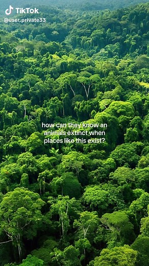 i’ll never believe an animals truely extinct. #amazonrainforest #animals