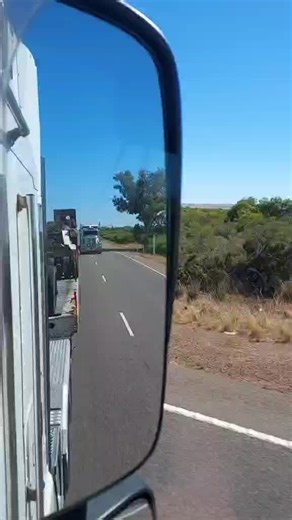 Mark Eustace (@18_gears_n_a_beard)’s videos with original sound - Pacey