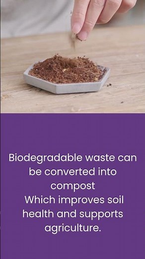 What Are Biodegradable Materials? | Easy Explanation + Real Examples