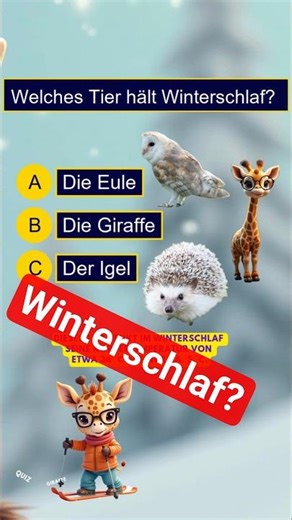 Blitzfrage: Welches Tier hält Winterschlaf? ❄️🦔 | Tier-Quiz 💕🦒💕 Quiz Giraffe