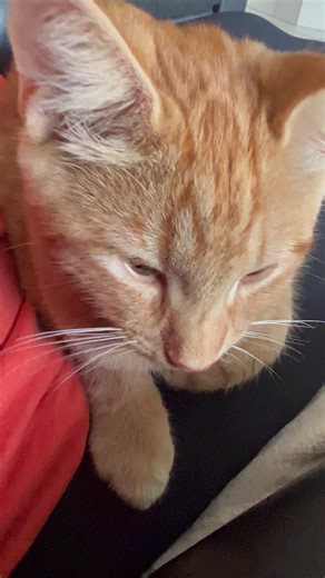 Race Trace (@racetrace)’s videos with original sound - Race Trace