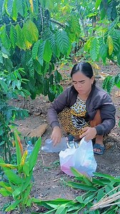 ketika istri ikut suami ke kebon🤣🤣 #vod #kontenkomedi #viral #lampungwaykanan | Elly Ermawati