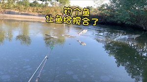 想让我空军，那就别怪我不讲武德啰！