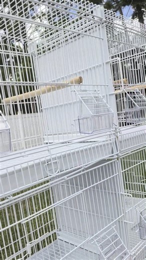 Watch Breeder cage for Parakeets, Quail and other small birds! on Amazon Live