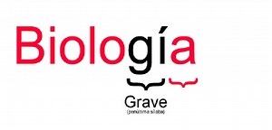 Ejemplos de palabras graves con tilde y casos especiales