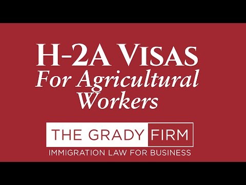 How to Utilize the H-2A Visa for Agricultural Workers