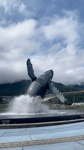 3K views · 57 reactions | The humpback whale statue is located downtown Juneau, by the Douglas Island Bridge. It’s definitely a must see while in Juneau. #Alaska #juneau #humpbackwhale #traveltheworld #travel | Hey There From Here | Facebook
