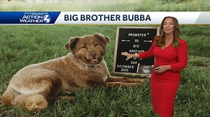 pI had a few requests for our baby announcement from yesterdays morning show. I can't thank you all enough for all the love and support you have shared with me and Bobby. We are over the moon excited for this next chapter in our life! Have a great day!! | Ashley Dougherty WTAE