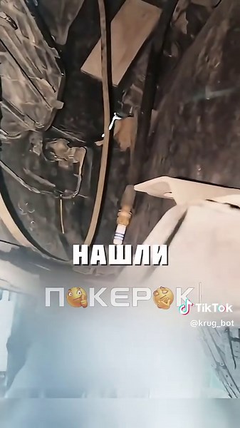 НЕБОЛЬШОЙ СЮРПРИЗ #Россия #русскийязык #russia #интересное