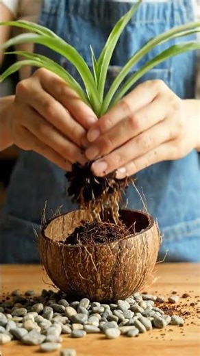 Empty Coconut Shell to Stunning Hanging Planter 🥥 #CoconutCraft