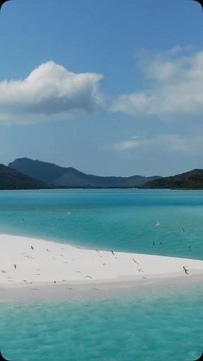 Elle Macpherson on Instagram: "Win a luxe Hayman Island getaway thanks to WelleCo!⁠ ⁠ To celebrate the launch of The HydroProtein Elixir, WelleCo and I are giving one lucky winner the ultimate escape—a 4-night stay at InterContinental Hayman Island, Great Barrier Reef, the stunning set to The HydroProtein Elixir campaign. ⁠ ⁠ This stay with an estimated value of ~$10,000 includes:⁠ ⁠ 4 night stay in a Beachfront Pavilion for 2 people $1800/night ⁠ Hayman Spa - $1000 spa credit⁠ 2x Activities inc