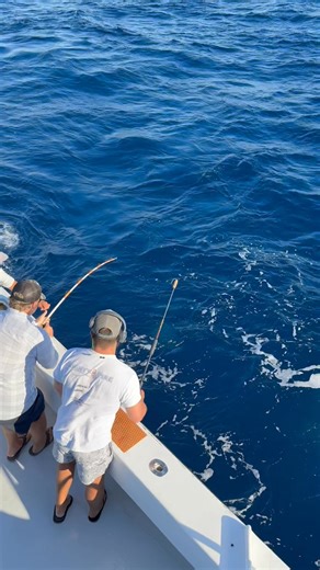 Now that’s a view that I can get used to! | Mighty Fine Charters