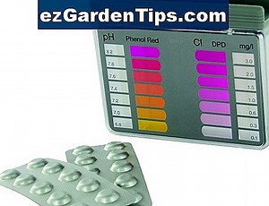 Was bedeuten Chlor und pH-Werte in einem Pool? 🌱 Tipps Gärtner - De.ezGardenTips.com