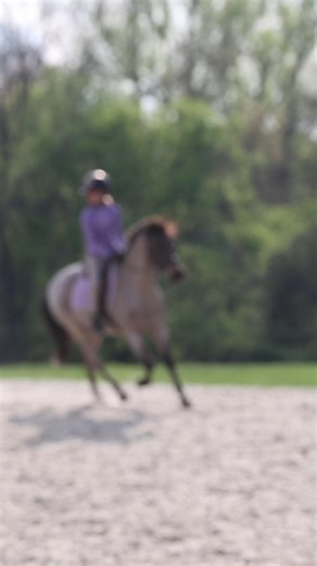 Maybe she will follow in her big sister’s footsteps? Madden is a once a week, when she feels like it kind of rider. She really just loves animals and likes to be around them, but watching her out there makes me wonder if she’s getting the bug. Shady is truly the greatest teacher, and has taught all 3 of my kids to ride! I’m so grateful Poplar Hill Stables shares him with us. ❤️ #poplarhillstables #hunterjumper #pony #equestrian