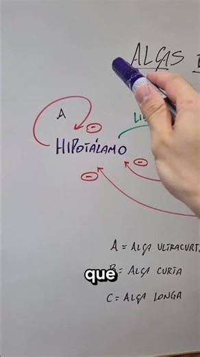 Were you already familiar with hormonal feedback loops? #endocrinology #physiology #medicalstudent