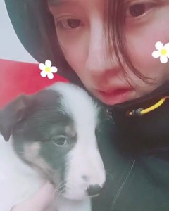63 reactions | [VID] Kim HeeChul IG Update Happy New HEEear珞 - H | PetalsPH | Facebook