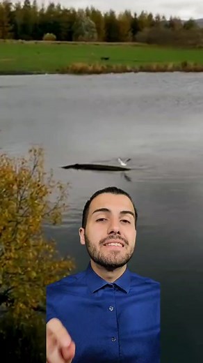 Mysterious Loch Ness Monster Sightings Revealed