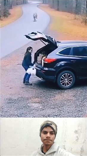 Introducing the VitaWear SmartBand, a next-generation wearable gadget 🎉