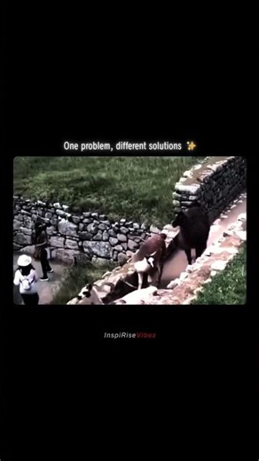 One problem, different solutions. #mindset #motivation #shorts