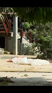 Super Funny Video | Heang Mini