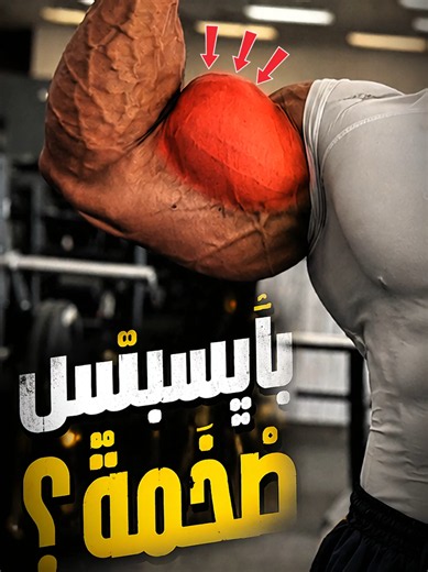 اختر تمرينك المفضل: 5 زوايا لجعل البايسبس تصل لأقصى حجم / Biceps Workout هل ذراعك لا تنمو؟ اكتشف أفضل 5 تمارين لتفجير عضلة البايسبس! تعلم تغيير الزوايا الصحيح لضخامة عضلية فائقة وقوة خارقة. هذا الفيديو يقدم خيارات احترافية لبناء ذراع قوية. اختر ما يناسبك وطبق التكنيك لنتائج مذهلة في الجيم. #bicepsworkout #lifestyle #motivation #workout #creatorsearchinsights