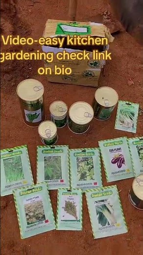 Kitchen Gardening 101 🥦 | Using Certified Vegetable Seeds for Better Harvests