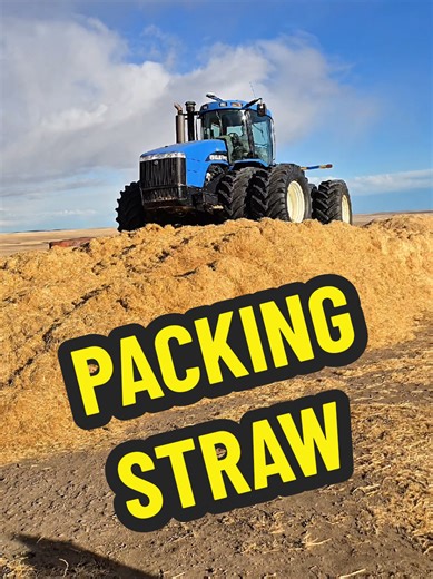 Packing Straw for Cow Feed: Best Practices