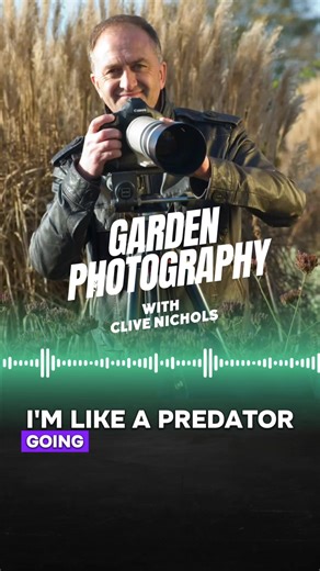 📸 The latest episode of The Gardener’s Lodge Pocast with world-renowned garden Photographer @clivenichols Beyond chatting about his extensive career Clive divulges his tips on how to take the perfect garden shots in your garden. Link in bio for full episode 🎙️ #garden #gardenphotography #clivenichols