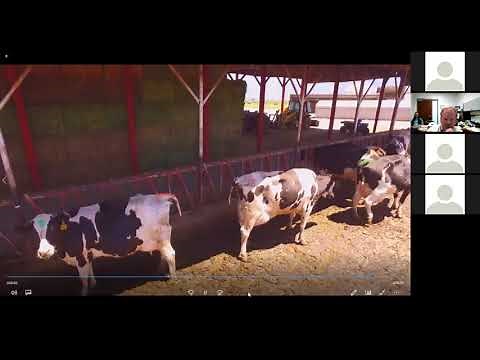 How to Use Drones to Monitor Livestock