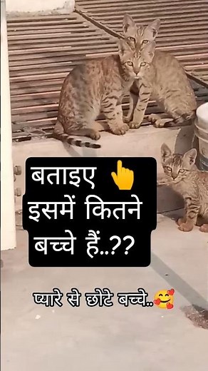 Rani Ke Hanuman Ji #ranikehanumanji #trending #viral #bhakti #shorts #viralshorts #youtubeshorts #yt