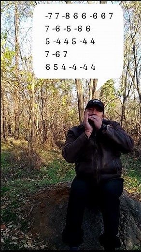 #harmonica #countrymusic #zenharmonica Swanee River, country music on diatonic harmonica C