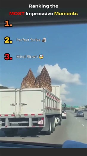Ranking the MOST Impressive Moments… Wait 😳