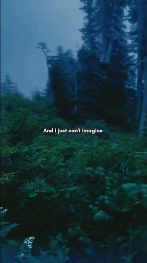 🚗🎶 Olivia Rodrigo - Drivers License (Lyrics) | Lollapalooza 2025 Lineup | Part -1 #shorts