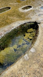 318K views · 3.7K reactions |  Explore Botanical Beach – A Hidden...