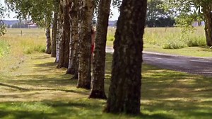 145K views · 1.9K reactions | Har du inte kommit igång med nyårslöftet ännu? Här kommer några tips från prosten om hur man snabbt kommer i form. ‍♂️ Nytt avsnitt av Uti bôgda finns på SVT Play nu! | SVT Humor | Facebook