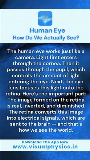 How Do We See? Human Eye Explained Simply