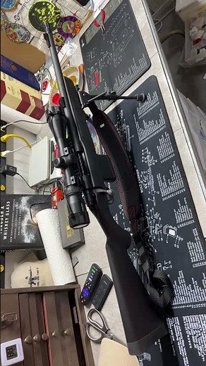 Mossberg MVP Scout Rifle in .308/7.62 bolt action. With Vortex Crossfire scope.