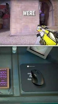 The Perfect Mouse Sens According to Science