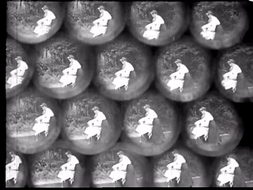 House Fly Life Cycle: Close-Up Look at Compound Eyes & Proboscis