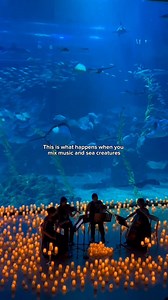 158 reactions · 6 comments | An intimate and enchanting evening brought to you by candlelight | Candlelight Concerts by Fever | Facebook