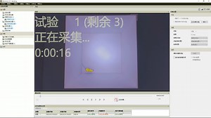 批处理视频功能-动物运动轨迹跟踪系统EthoVision XT