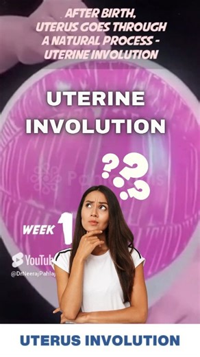 Dr. Neeraj Pahlajani on Instagram: "Uterine Involution: Your Body's Postpartum Healing 🤰🔄 Discover the amazing process of uterine involution, where your uterus returns to its pre-pregnancy size after childbirth. Key points: Contractions: After delivery, your uterus contracts to help it shrink. Healing: The uterine lining and blood vessels also heal and repair. Timeframe: Uterine involution typically takes 6 weeks. Tips for a smoother recovery: Breastfeeding: Can help the uterus contract faster