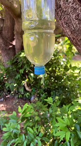 1.3M views · 12K reactions | Survival Skills SIMPLE and USEFUL save SOAP & Water #forest #5minutecrafts #bushcraft #survival #outdoors #soap #homemade #camping | Borey kk | Facebook