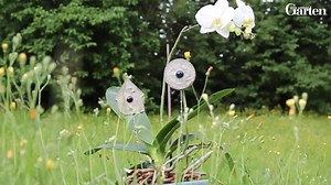 Hübsche Pflanzstecker aus Beton selber machen, geht ganz einfach. Im Video zeigen wir Euch, wie es geht! Weitere Pflanzstecker-Ideen und eine ausführliche Anleitung findet Ihr auf Mein schöner Garten.de: http://bit.ly/1qg1urH | Mein schöner Garten