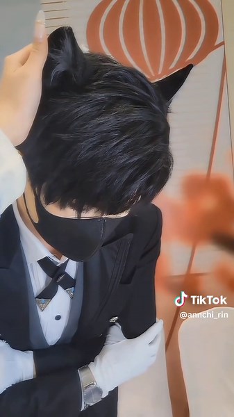 Adopt This Adorable Kitten with a Beautiful Tail