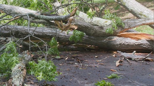 2 tornadoes confirmed in Upstate SC during Wednesday's storms